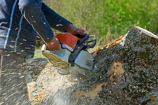  , USA Tree Care Services Pros